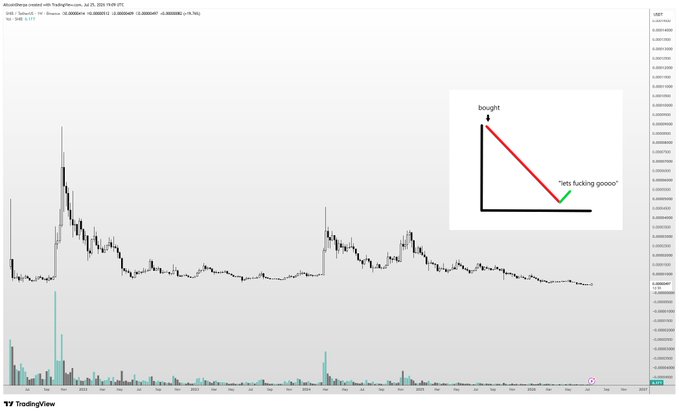 A TradingView chart of SHIB/USD on a high timeframe shows a long-term downtrend from the 2021 peak, accompanied by a humorous stick figure meme depicting someone buying at the top and experiencing a massive drawdown with the caption "lets fucking goooo," illustrating the irony of a 20% short-term gain amid the overall multi-year price collapse.
