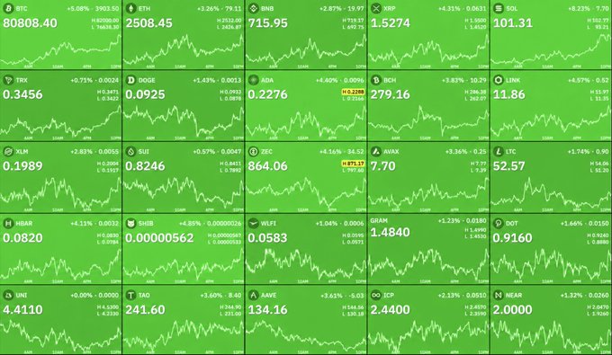 A cryptocurrency market dashboard displays various coins including BTC ($80,808.40), ETH ($2,508.45), BNB ($715.95), XRP ($1.5274), and SOL ($101.31), all showing positive 24-hour gains against a green background with trend lines. The image visually reinforces the post's claim of a massive crypto market rally, illustrating widespread upward momentum across major and altcoin assets as shorts were liquidated.