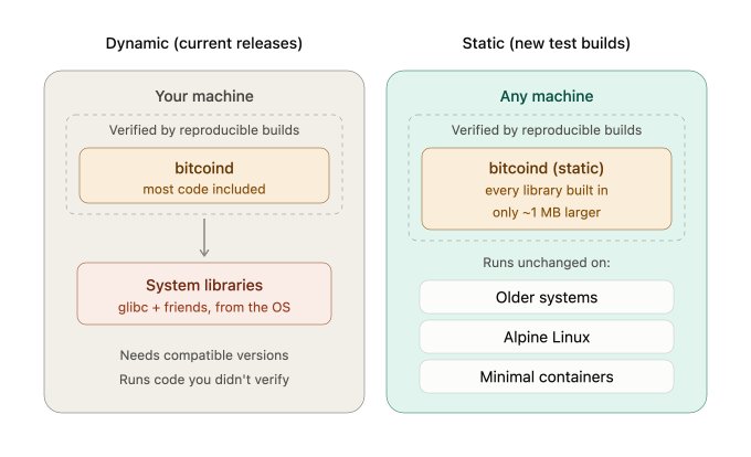 A comparison diagram showing Dynamic (current releases) vs Static (new test builds) of bitcoind, highlighting that static builds include every library built in, are only ~1 MB larger, and run unchanged on older systems, Alpine Linux, and minimal containers.