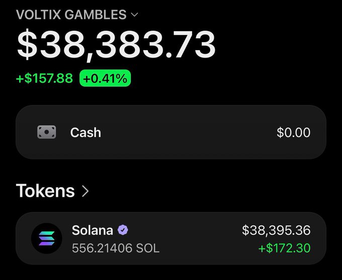 The image shows a Voltix Gambles portfolio displaying a total balance of $38,383.73 (+$157.88, +0.41%), with holdings consisting of 556.21406 SOL valued at $38,395.36 (+$172.30) and $0.00 in cash. The screenshot directly supports the post's claim of loading up 550 SOL, though the portfolio's substantial existing balance suggests this was an addition to an already large position rather than a fresh entry.