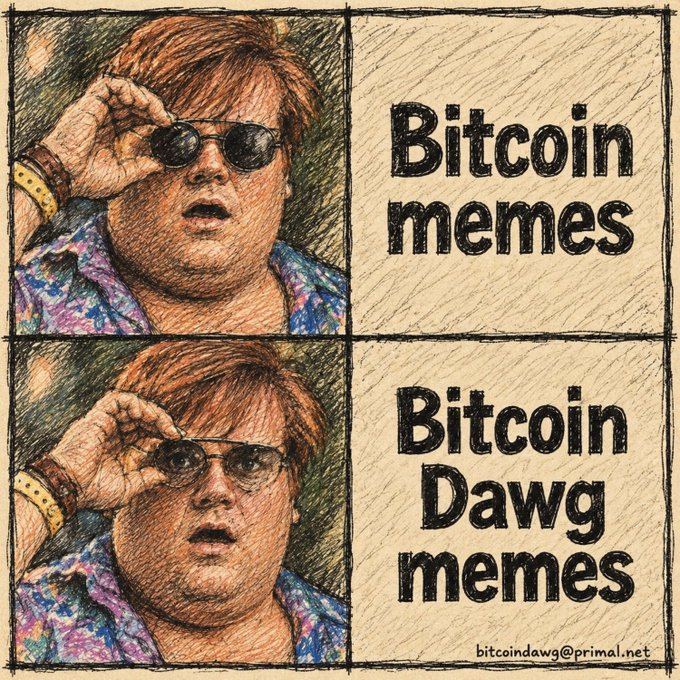 A two-panel sketch-style meme showing a man lifting sunglasses, with text reading 'Bitcoin memes' (top) and 'Bitcoin Dawg memes' (bottom), with email 'bitcoindawg@primal.net'.