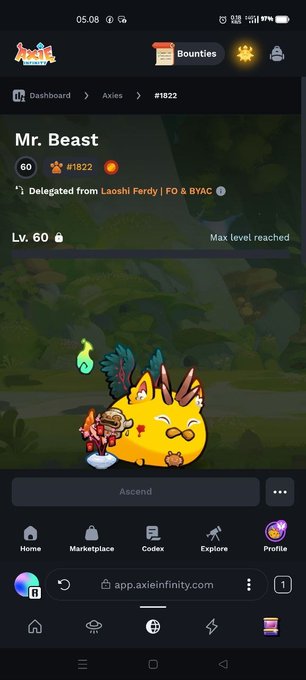 The image shows the Axie Infinity Codex page for an Axie named "Mr. Beast," who has reached the maximum level of 60 and is ranked #1822, with the Axie having been delegated by "Laoshi Ferdy | FO & BYAC." This directly celebrates the post's announcement of achieving Level 60, marking the milestone journey the user referenced in their message.