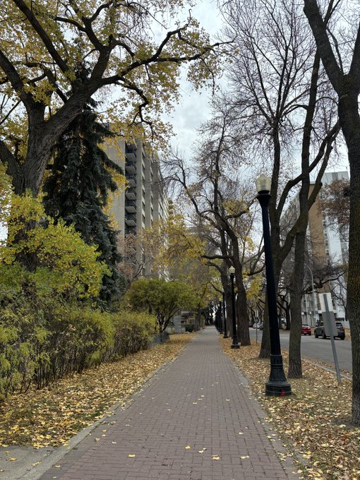 An autumn street scene with a brick sidewalk lined by trees with yellowing leaves, lampposts, and buildings in the distance on an overcast day.