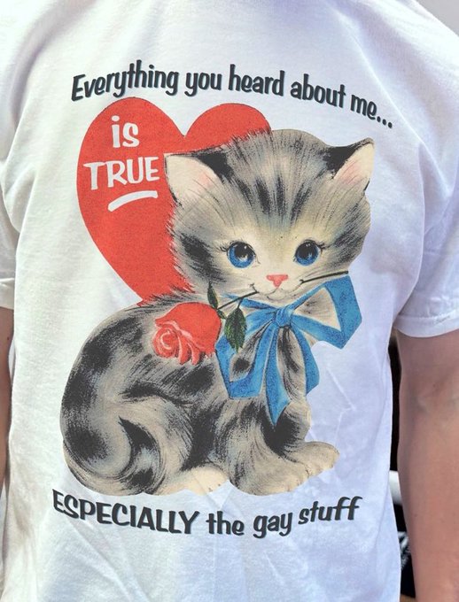 A white t-shirt is worn by a person, displaying a graphic of a kitten with a blue bow and red rose. The text reads: "Everything you heard about me... is TRUE ESPECIALLY the gay stuff."