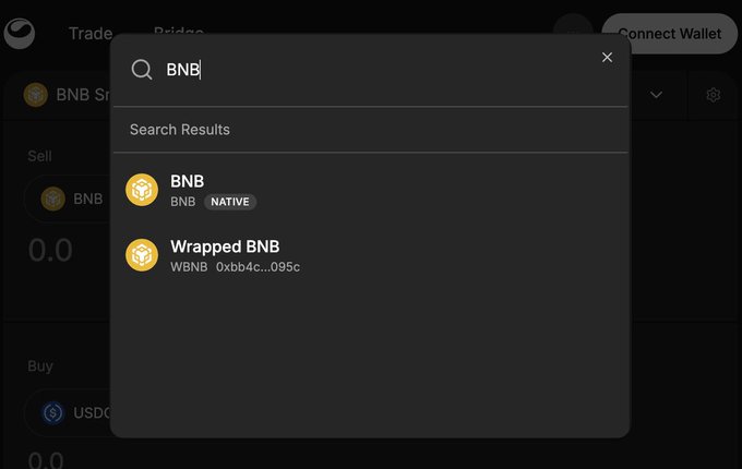 Cryptocurrency exchange interface showing a search dropdown for 'BNB' with results for BNB (Native) and Wrapped BNB (WBNB), behind a Buy/Sell BNB trading form.