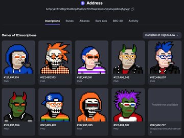 A screenshot of an NFT inscription platform displaying pixel-art style 'Punk' avatars owned by a specific address, with various ID numbers visible beneath each character.