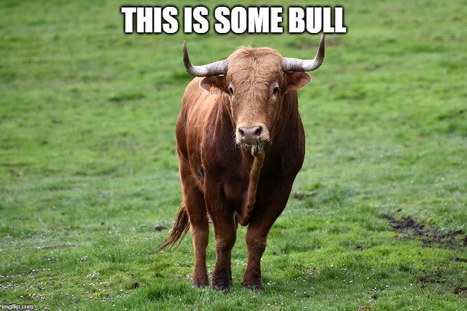 A brown bull with large horns stands in a grassy field, with the caption "THIS IS SOME BULL" displayed at the top.