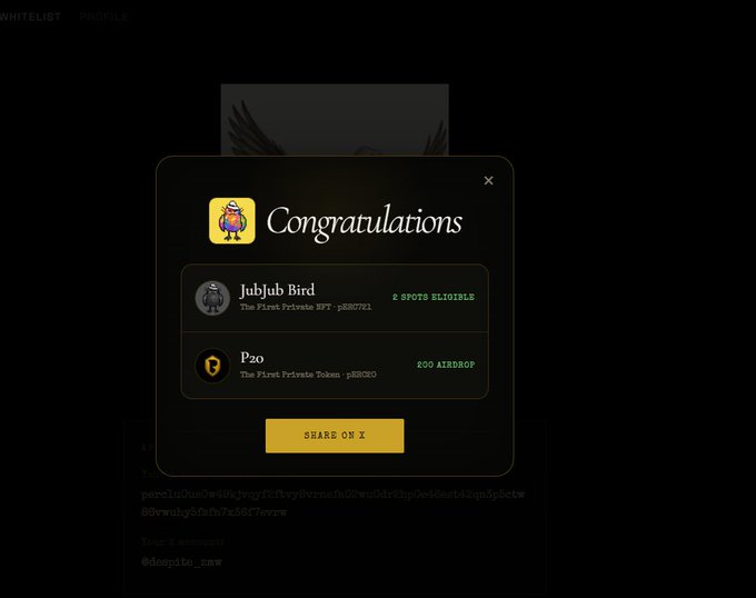 A digital confirmation screen titled 'Congratulations' showing NFT eligibility for 'Jubjub Bird' (2 spots) and an airdrop for 'P20', with a 'SHARE ON X' button.