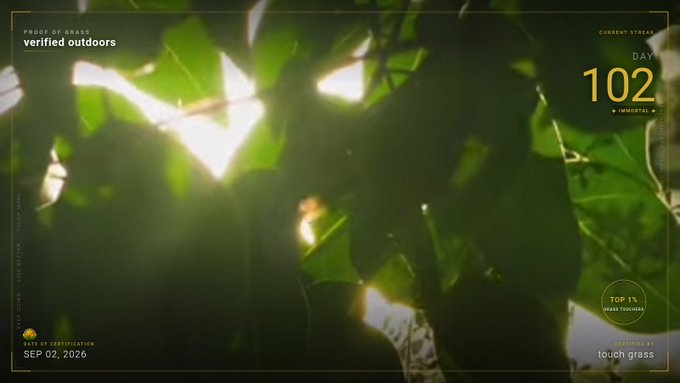 An outdoor scene with sunlight filtering through green leaves, featuring overlay text including "PROOF OF GRASS," "CURRENT STREAK DAY 102," and "touch grass."