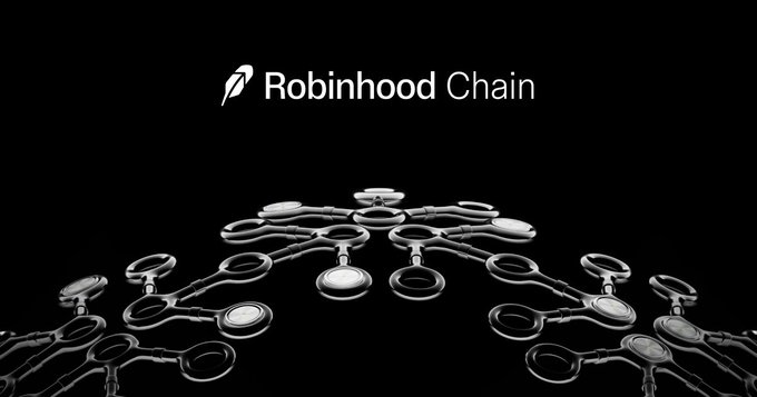 A black promotional graphic featuring the 'Robinhood Chain' logo above a stylized network of interconnected metallic nodes.