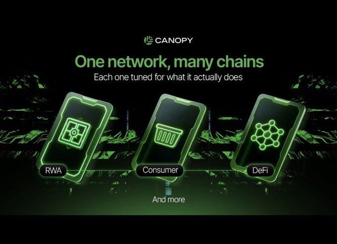 A promotional graphic for 'CANOPY' reads 'One network, many chains' and displays three stylized phones labeled 'RWA', 'Consumer', and 'DeFi'.