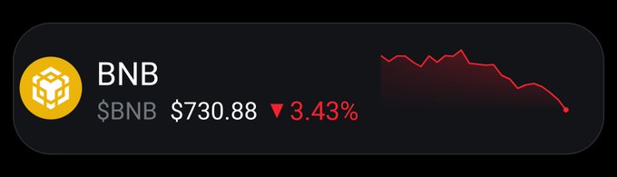 A cryptocurrency price tracker widget for BNB showing a price of '$730.88' and a downward trend marked by a red arrow and '▼ 3.43%'.
