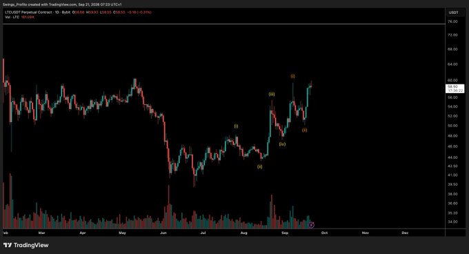 A TradingView daily chart of the LTC/USDT perpetual contract on Binance shows Litecoin's price action with Elliott Wave labels (i)-(ii)-(iii)-(iv)-(v) marking an impulsive five-wave structure from roughly $35 to $60, consistent with the post's observation of a completed 1-2-1-2 setup suggesting an impending wave 3 breakout.