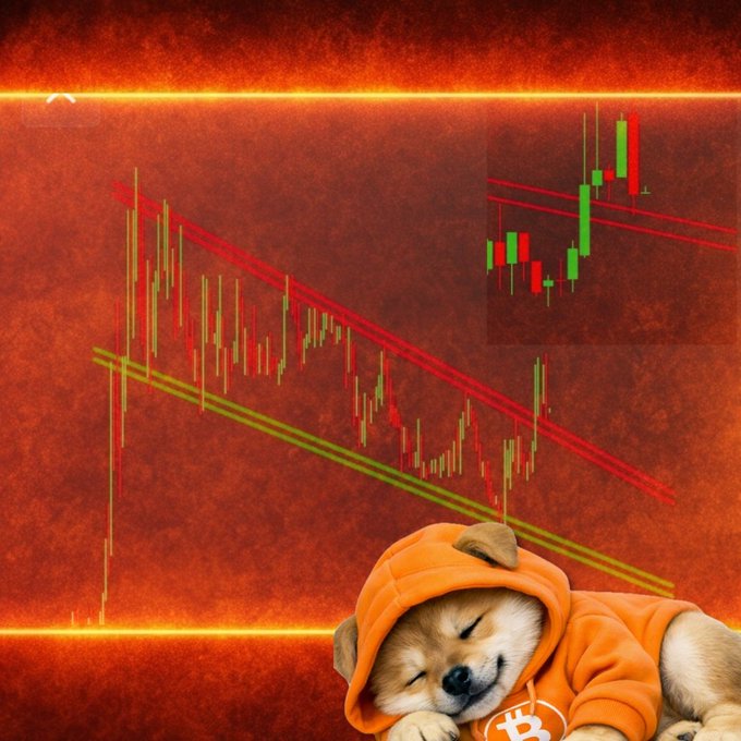 A Shiba Inu dog wearing an orange hoodie sleeps peacefully in front of a candlestick chart showing a downward trend, with a Bitcoin logo visible on the dog's hoodie.