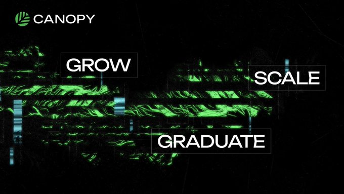 A promotional graphic for 'CANOPY' featuring green stylized imagery with the words 'GROW', 'SCALE', and 'GRADUATE' displayed in white boxes.