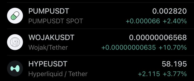 A dark-themed cryptocurrency price list showing PUMPUSDT at 0.002820 (+2.40%), WOJAKUSDT at 0.00000006568 (+10.70%), and HYPEUSDT at 58.195 (+3.77%).