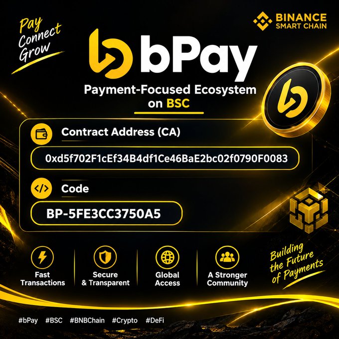 A promotional graphic for 'bPay', described as a 'Payment-Focused Ecosystem on BSC' on the Binance Smart Chain, displaying a Contract Address '0xd5f702F1cEf34B4df1Ce46BaE2bc02f0790F0083' and a Code 'BP-5FE3CC3750A5'.
