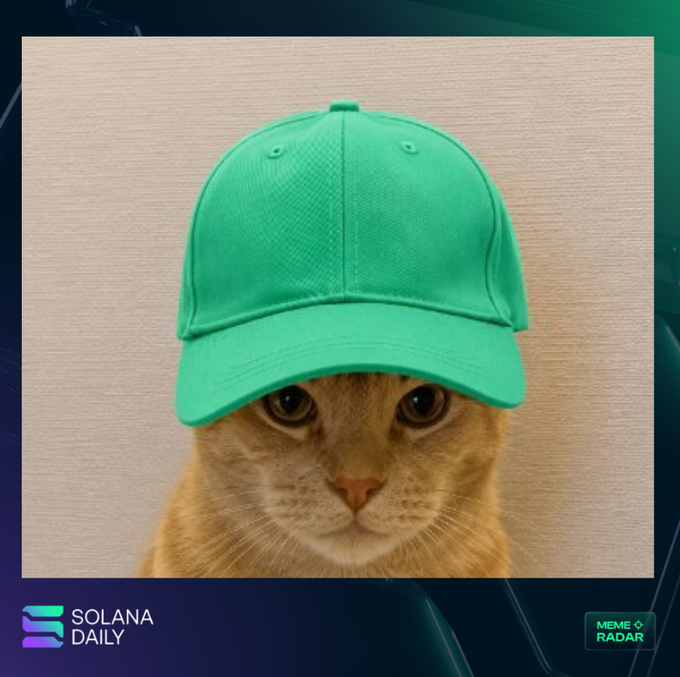 The image features a cat wearing a green baseball hat with its eyes open, looking directly at the camera. The caption of the image includes information about a mascot named "SOLANA Daily" who is a "trenches savior," launched by dev @cooldevisback.