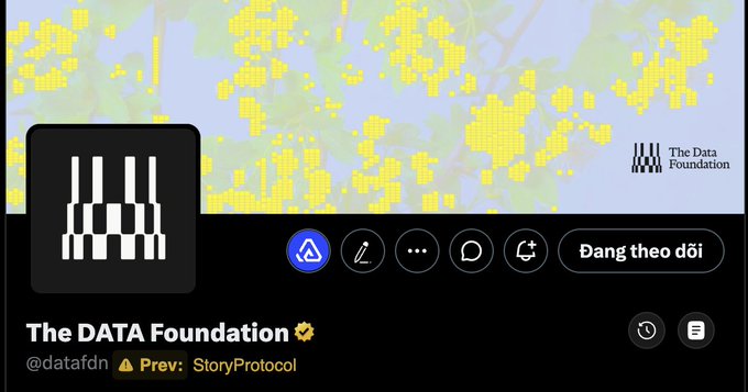 The image shows a Twitter/X profile page for "The DATA Foundation" (@datafdn), with a note indicating "Prev: StoryProtocol" and a "Đang theo dõi" (Following) button. The profile features a black and white striped logo and a map-themed banner, visually supporting the post's announcement that Story Protocol has rebranded to Data Foundation, with their token $IP now becoming $DATA.