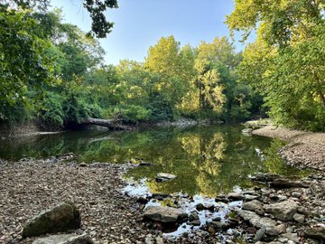 A peaceful outdoor nature scene showing a calm river or creek surrounded by dense green trees, with a rocky shoreline in the foreground and a fallen tree trunk in the water.