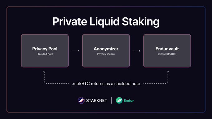 An infographic titled "Private Liquid Staking" illustrating a flow from "Privacy Pool" to "Anonymizer" to "Endur vault," noting that "xstrkBTC returns as a shielded note" with StarkNet and Endur logos.
