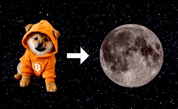 A meme showing a Shiba Inu dog wearing an orange Bitcoin hoodie next to an arrow pointing to the moon, set against a starry night sky background, referencing the crypto phrase 'to the moon'.