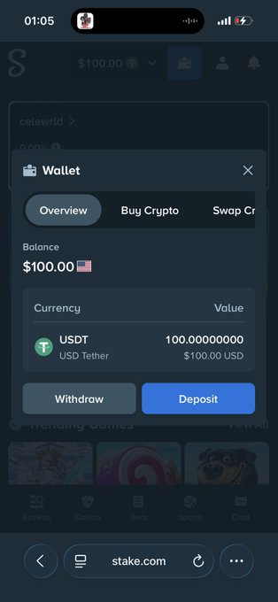 The image shows a Stake.com wallet screenshot displaying a balance of $100.00 USDT (USD Tether). The visible text "made $100 from stake tonight ty stake" celebrates this exact $100 wallet balance as a gambling win on the platform.