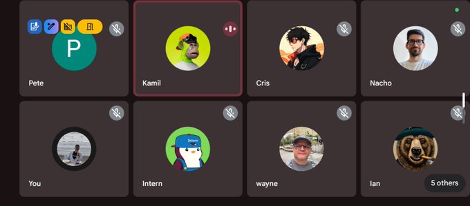 A screenshot of a group video call interface displaying participants named Pete, Kamil, Cris, Nacho, 'You', Intern, wayne, and Ian, with 5 others indicated.