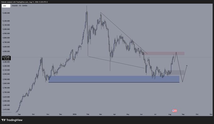 A TradingView daily candlestick chart of $XAUUSD (Gold) shows price trading around $4,170 after rejecting a red resistance zone near $4,230, with annotations marking a planned pullback toward a blue support box around $3,950–$4,000 before another rally toward $4,500+, matching the author's bullish-but-cautious outlook on metals.