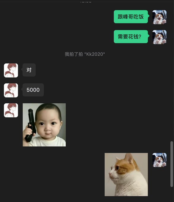 A Chinese WeChat conversation shows messages including "跟峰哥吃饭" (treating Brother Feng to a meal), "需要花钱?" (needs to spend money?), "对" (yes), and "5000," accompanied by a meme photo of a baby holding a gun and an image of a cat with a cigarette, humorously depicting someone generously funding a fugitive ("Brother Feng") with 5000 yuan for meals.
