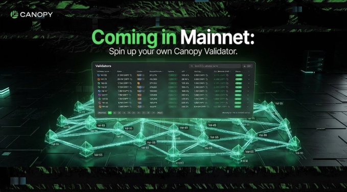 A promotional banner for Canopy titled 'Coming in Mainnet: Spin up your own Canopy Validator,' showing a table of validators and a 3D network graph of interconnected green nodes at the bottom.