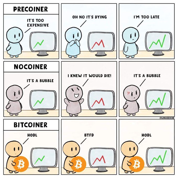 A comic by @linaseigh contrasts three types of crypto investors: a 'PRECOINER' who panics about price and timing, a 'NOCOINER' who insists 'IT'S A BUBBLE', and a 'BITCOINER' who simply responds with 'HODL' and 'BTFD' (Buy The F***ing Dip) to all market conditions.