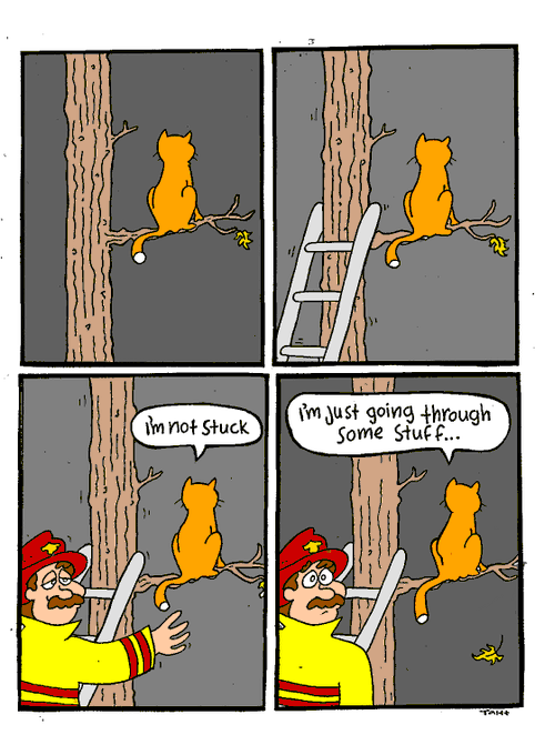 A four-panel comic shows a cat stuck in a tree telling a firefighter 'I'm not stuck' and 'I'm just going through some stuff...', signed by 'TAKI'.