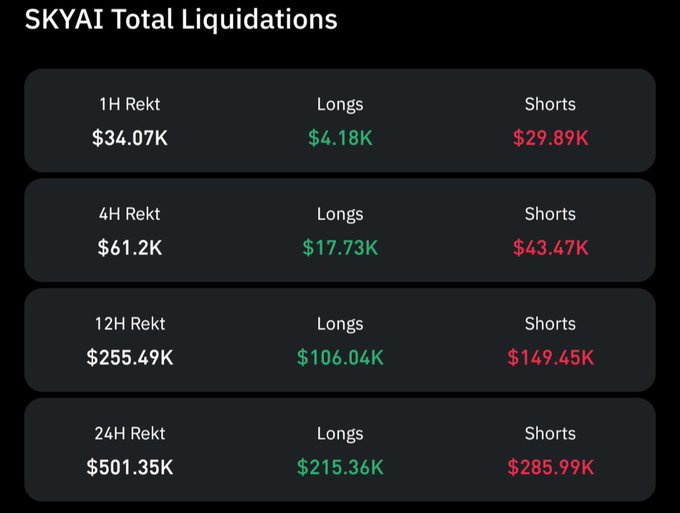 A dark dashboard titled 'SKYAI Total Liquidations' showing long (green) and short (red) liquidation amounts across 1H, 4H, 12H, and 24H intervals, with 24H shorts at $285.99K dominating longs at $215.36K.