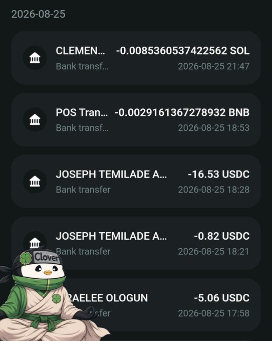 A screenshot of a banking transaction history showing several bank transfers dated 2026-08-25, including transactions in SOL, BNB, and USDC, with a cartoon penguin character in the corner.