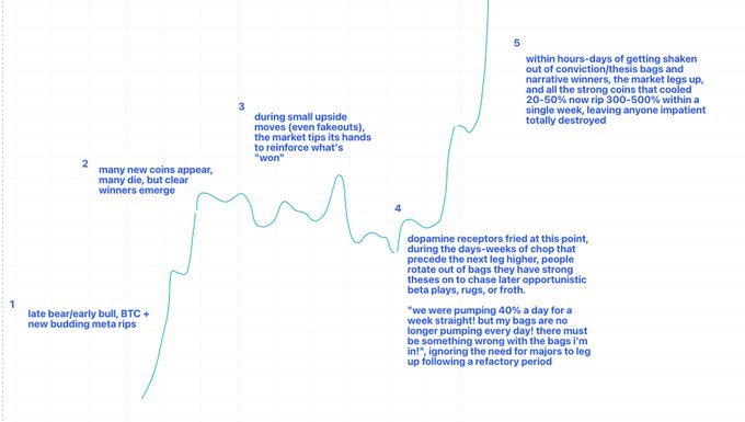 A line graph with teal annotations outlines the five phases of a crypto bull market, from 'late bear/early bull' to a peak followed by an 'amateur totally destroyed.'