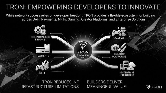 A TRON blockchain promotional graphic titled 'TRON: EMPOWERING DEVELOPERS TO INNOVATE' showing the TRON Innovation Hub connecting Decentralised Finance, Payments, NFTs, Gaming, Creator Platforms, and Enterprise Solutions.