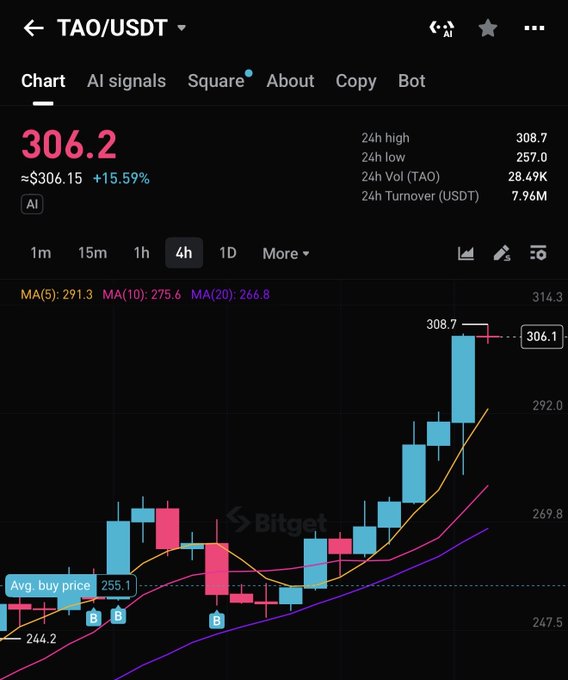 A Bitget trading app screenshot showing the TAO/USDT chart at 306.2, up 15.59%, with a 4h timeframe and moving averages indicated.