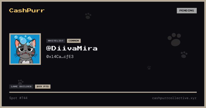 A digital profile card for 'CashPurr' displaying a pixel art cat avatar, the username '@DiivaMira', a wallet address, and 'LANE BUILDER 209 PTS' status.
