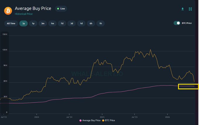 The image shows a graph that displays the price of Bitcoin over time. It begins at $13 in the year 2000 and ends around $52,811 in the year 2002. In between these two periods, there are several price points where Bitcoin's value fluctuates. The graph also has an upward trend, indicating that Bitcoin was once again hitting the average buy price of $50,800 before retesting it at $52,811 in 2002. This information aligns with a post that discusses Bitcoin's current position and shows the average buy price during this period.