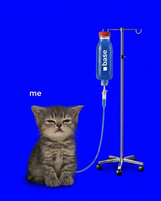 A humorous meme showing a grumpy-looking kitten labeled 'me' receiving an IV drip from a bottle labeled 'base' on a blue background.