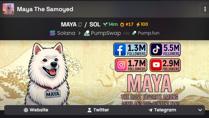 A cryptocurrency profile for 'Maya The Samoyed' (MAYA/SOL) on the Solana network via Pump.fun, showing 14m, #17 ranking, and 100 score, alongside social media stats of 1.3M Facebook, 5.5M TikTok, 1.7M Instagram, and 2.9M YouTube followers.