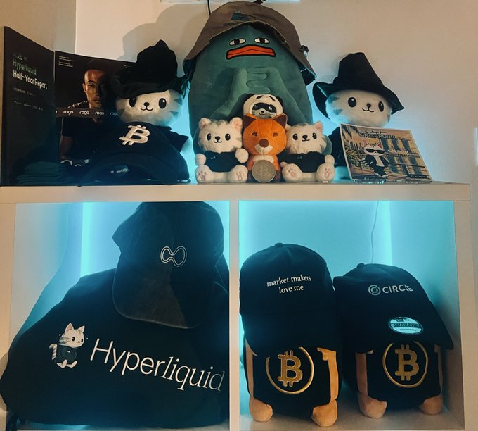 A display shelf with crypto-themed merchandise including Hypershit/Hyperliquid branded hoodies and hats, Bitcoin logos, and various plush toys in a witch hat style.