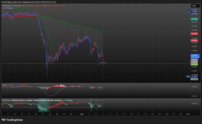A TradingView financial chart displaying the DOGEUSD price action on Binance with technical indicators like MACD and RSI, showing a significant price drop.