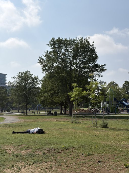 A park scene with a large tree in the center, playground equipment on the right, and a person lying on the grass in the foreground under a partly cloudy sky.