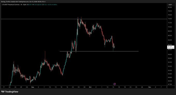 A TradingView chart of $LTCUSDT Perpetual Contract (LTC/USD) on Binance shows a sharp rally to ~$74 followed by a decline toward the $60 support line, consistent with the post's "weak bounce, maybe one more dip then bigger bounce" outlook.