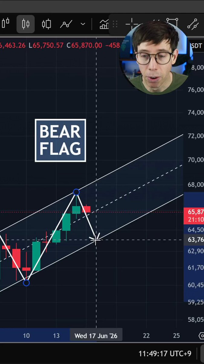 The image shows a screenshot of a trading app with a graph displaying the price movement of Bitcoin over time. The graph has a bear flag symbolizing the cryptocurrency market's behavior. The caption below the image provides an opinionated analysis about the bear-flag roadmap, which is not financial advice but rather a market analysis or an expert's viewpoint on the current state of the cryptocurrency market.