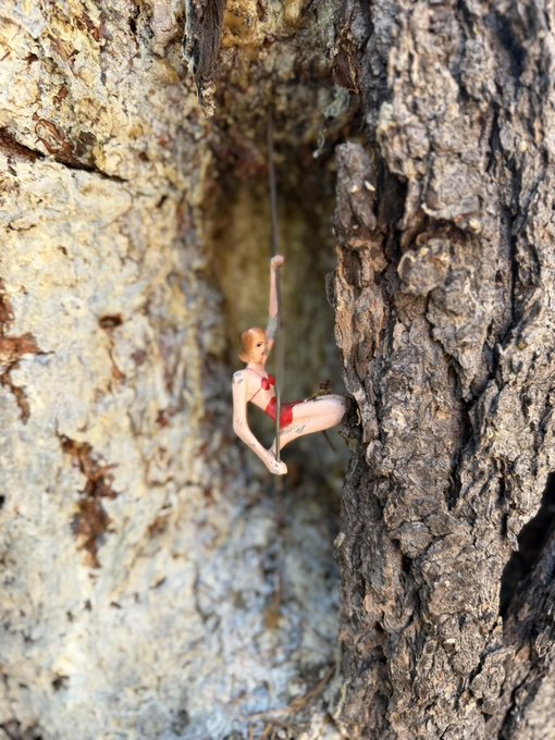 A tiny doll figure of a rock climber in a red bikini scaling a rugged rock crevice, using miniature rope and carabiners in a creative forced-perspective photograph.