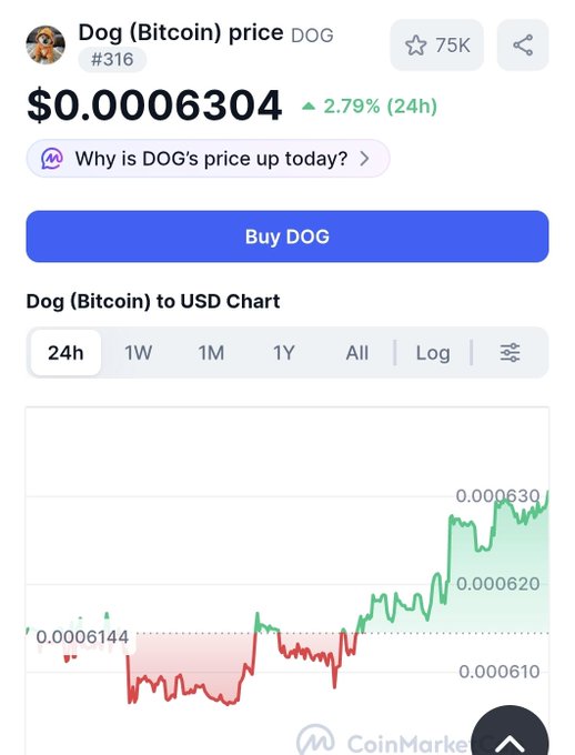 A CoinMarketCap price page for Dog (Bitcoin) token DOG showing a price of $0.0006304, up 2.79% in 24 hours, with a green upward-trending chart.