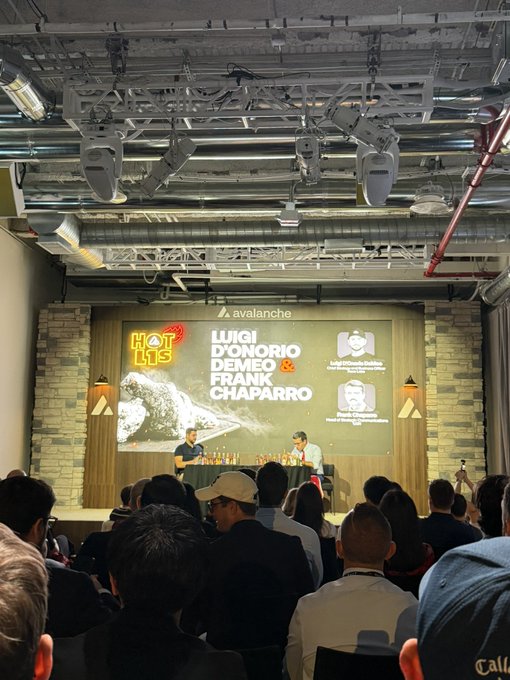 A panel discussion takes place on stage in front of an audience, with a large screen displaying 'HOT PLUS', 'avalanche', and featuring 'LUIGI D'ONORIO DEMEO & FRANK CHAPARRO'.